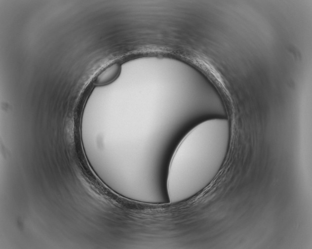 X0000090910108200708061530