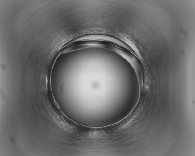 X0000090910109200708061530