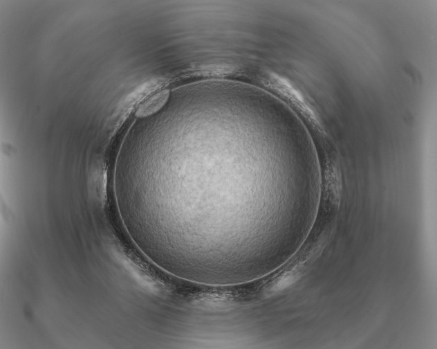 X0000090910110200708061530