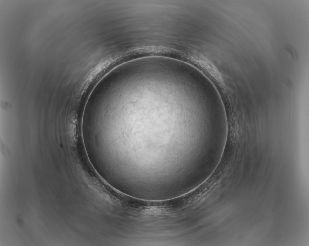 X0000090910111200708061530