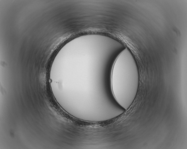 X0000090910112200708061530