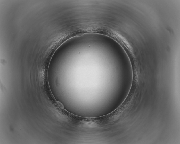 X0000090910113200708061530