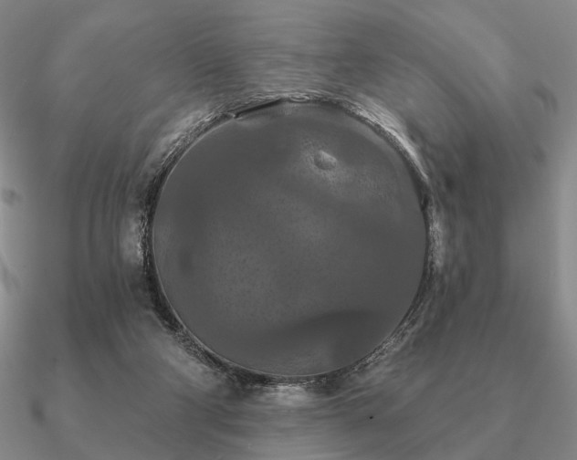 X0000090910114200708061530