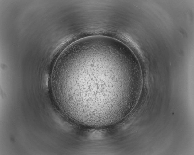 X0000090910115200708061530