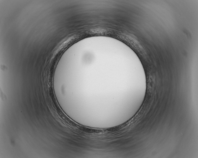 X0000090910116200708061530