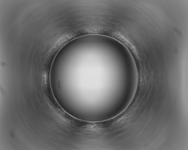 X0000090910117200708061530