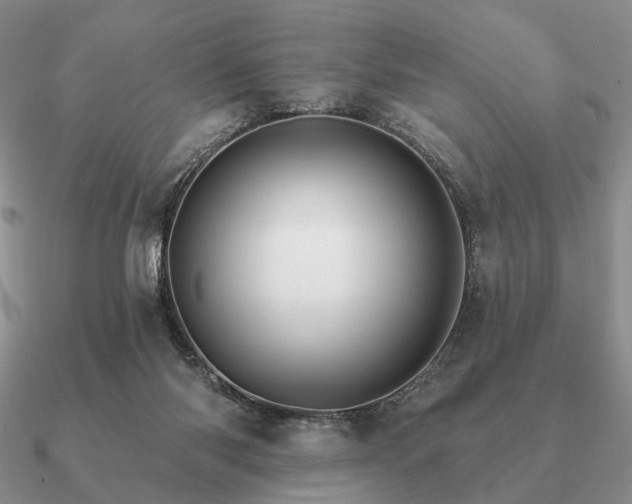 X0000090910118200708061530