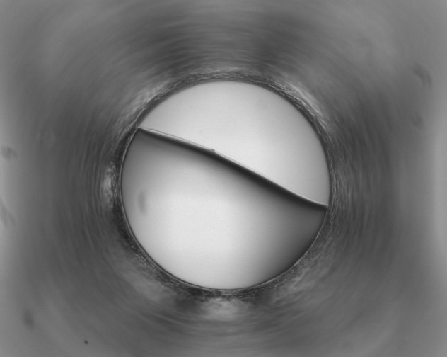 X0000090910119200708061530