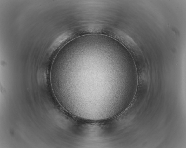 X0000090910120200708061530