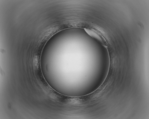 X0000090910121200708061530