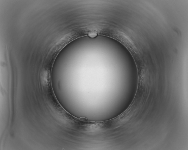 X0000090910122200708061530