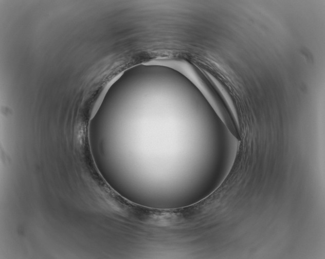 X0000090910125200708061530