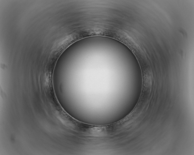 X0000090910126200708061530