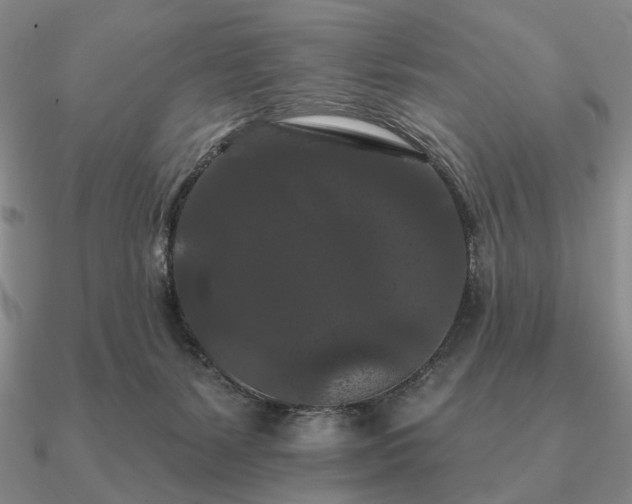 X0000090910127200708061530