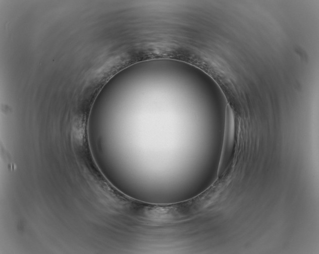 X0000090910129200708061530