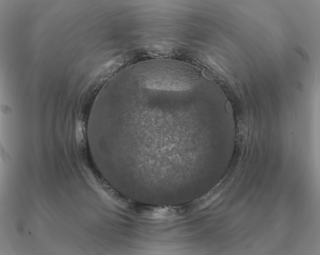 X0000090910130200708061530