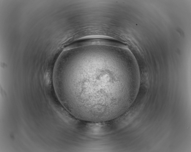 X0000090910131200708061530