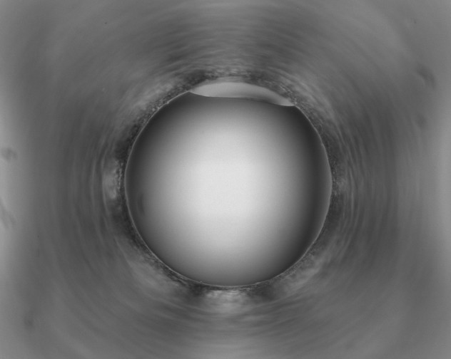 X0000090910133200708061530