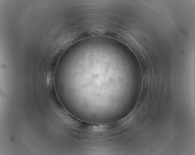 X0000090910134200708061530