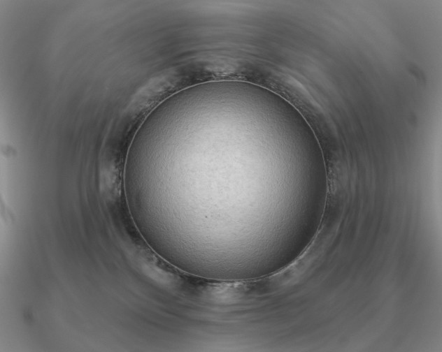 X0000090910136200708061530