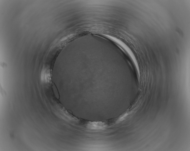 X0000090910137200708061530