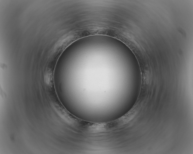 X0000090910138200708061530