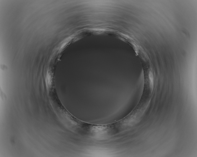 X0000090910139200708061530