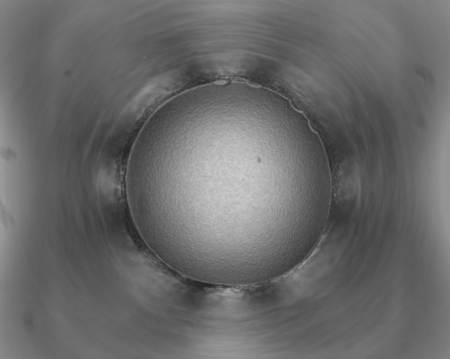 X0000090910140200708061530