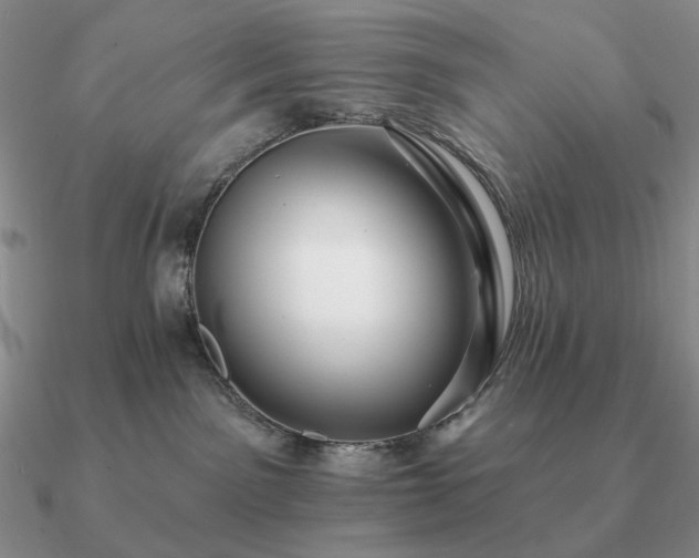 X0000090910141200708061530