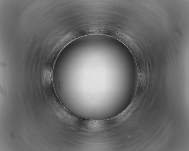 X0000090910142200708061530