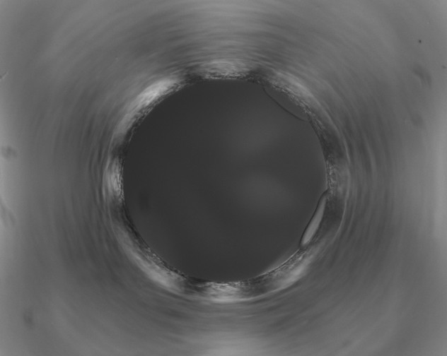 X0000090910143200708061530