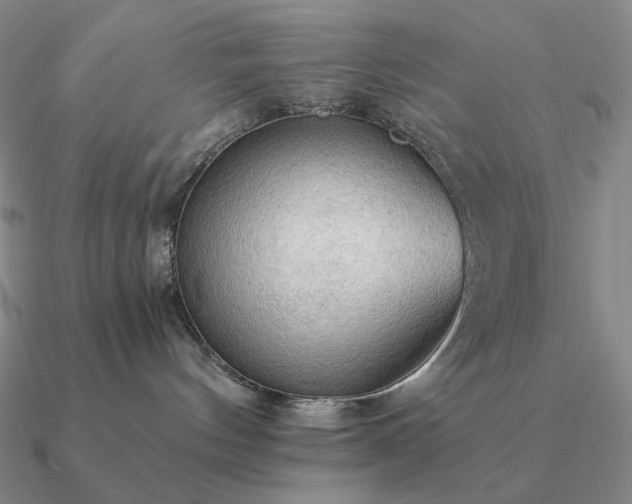 X0000090910144200708061530