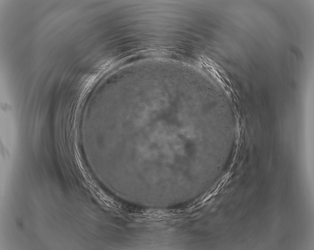 X0000090910145200708061529