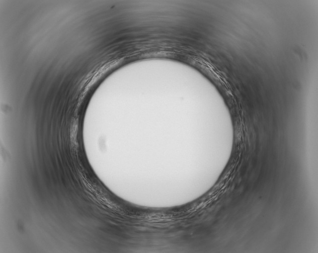 X0000090910146200708061529