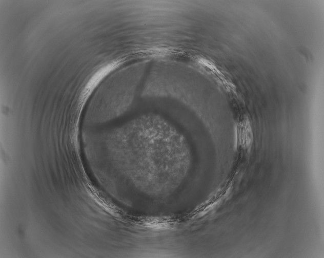 X0000090910147200708061529