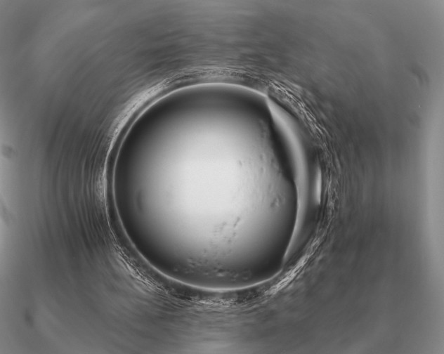 X0000090910148200708061529