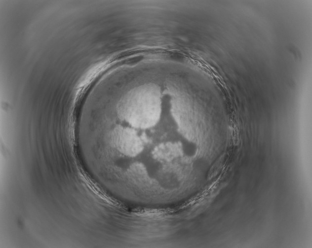 X0000090910149200708061529