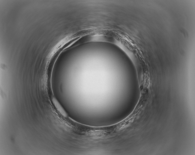 X0000090910150200708061529