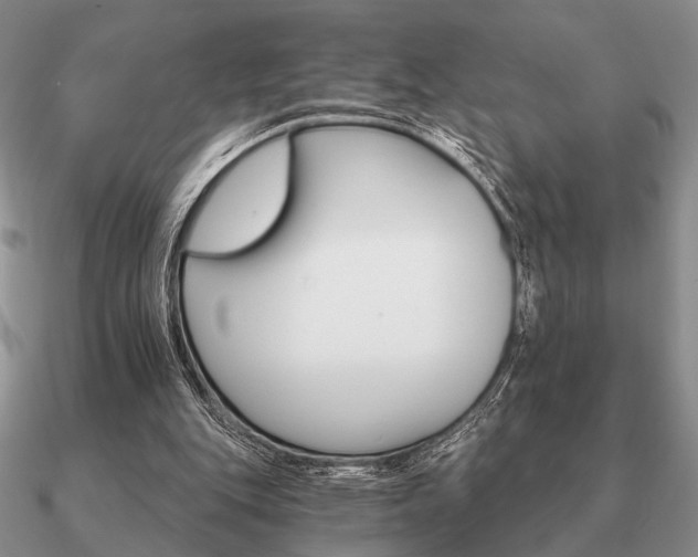 X0000090910151200708061529