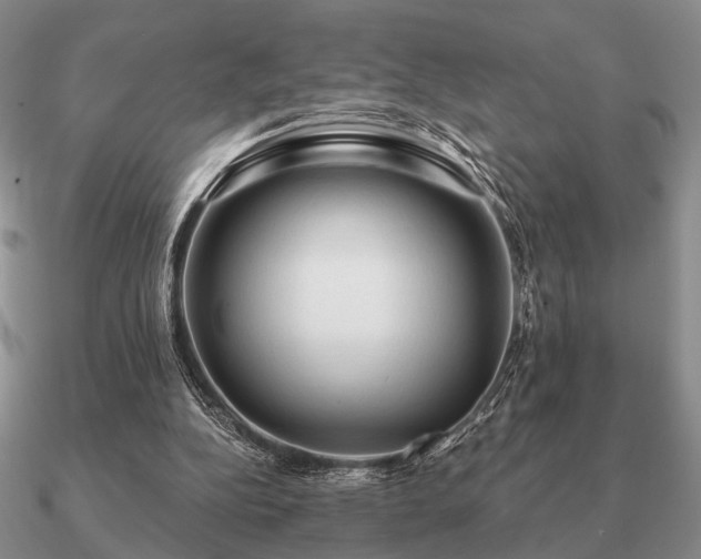 X0000090910152200708061529