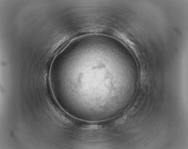 X0000090910153200708061529