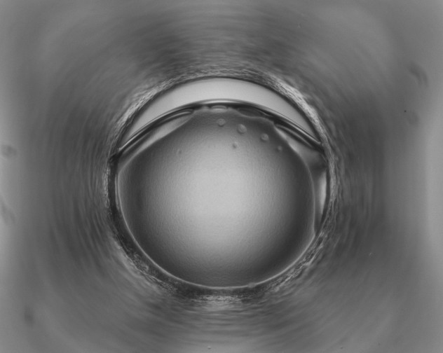 X0000090910154200708061529