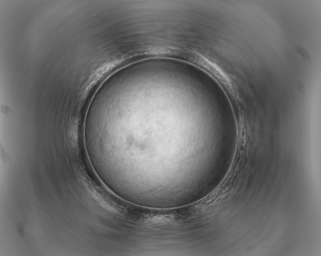 X0000090910155200708061529