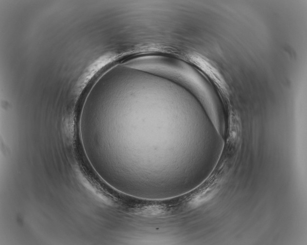 X0000090910156200708061529