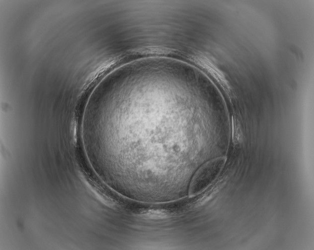 X0000090910157200708061529