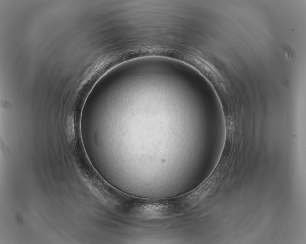 X0000090910158200708061529