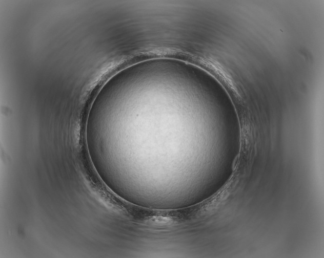 X0000090910159200708061529