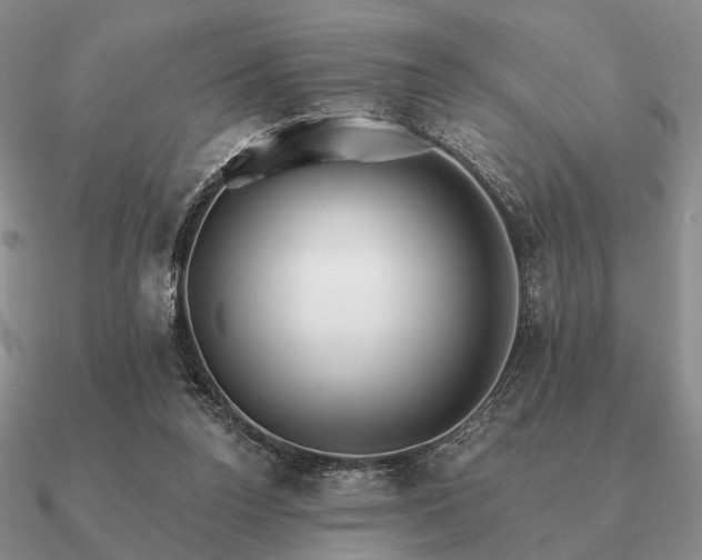 X0000090910160200708061529