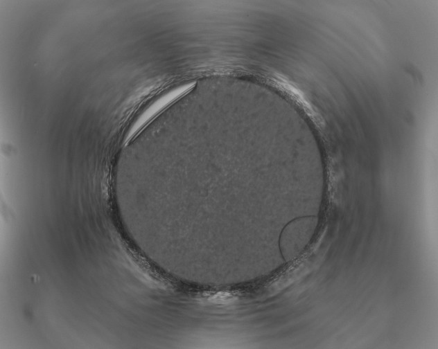 X0000090910161200708061529