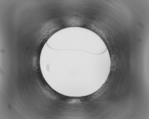 X0000090910162200708061529